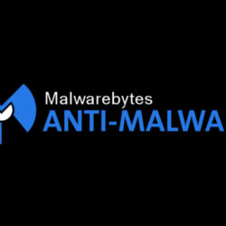 Malwarebytes project zero