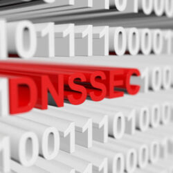 DNSSEC as a binary code with blurred background 3D illustration