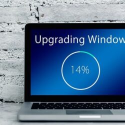 Importance of Regular Software Updates