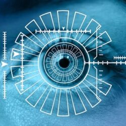 Biometric Security in Educational Environments